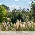 Domaine De Caranella