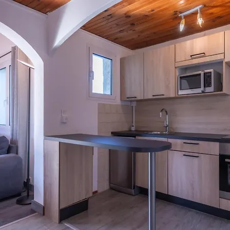 Résidence Domaine De Caranella公寓