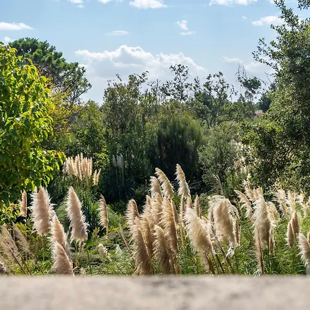 Domaine De Caranella
