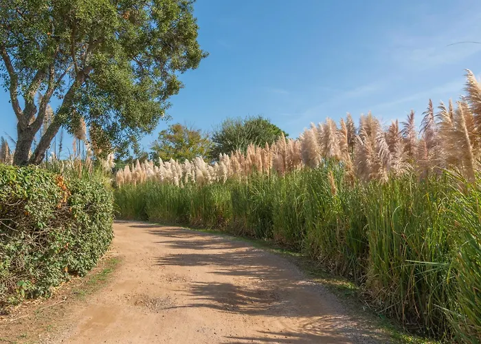 Domaine De Caranella Aparthotel 3*